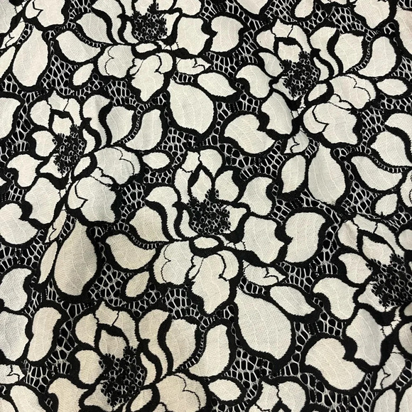 Christian Siriano for Lane Bryant A Line Skirt - Picture 5 of 7